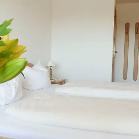 Hotel Adler *