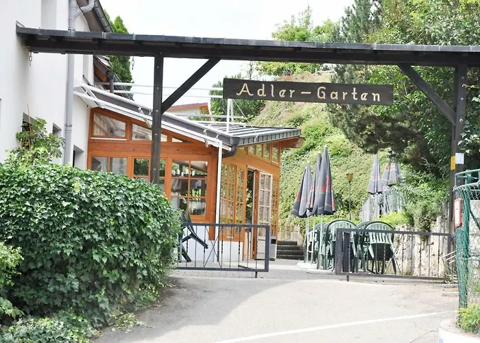 Adler Guttingen